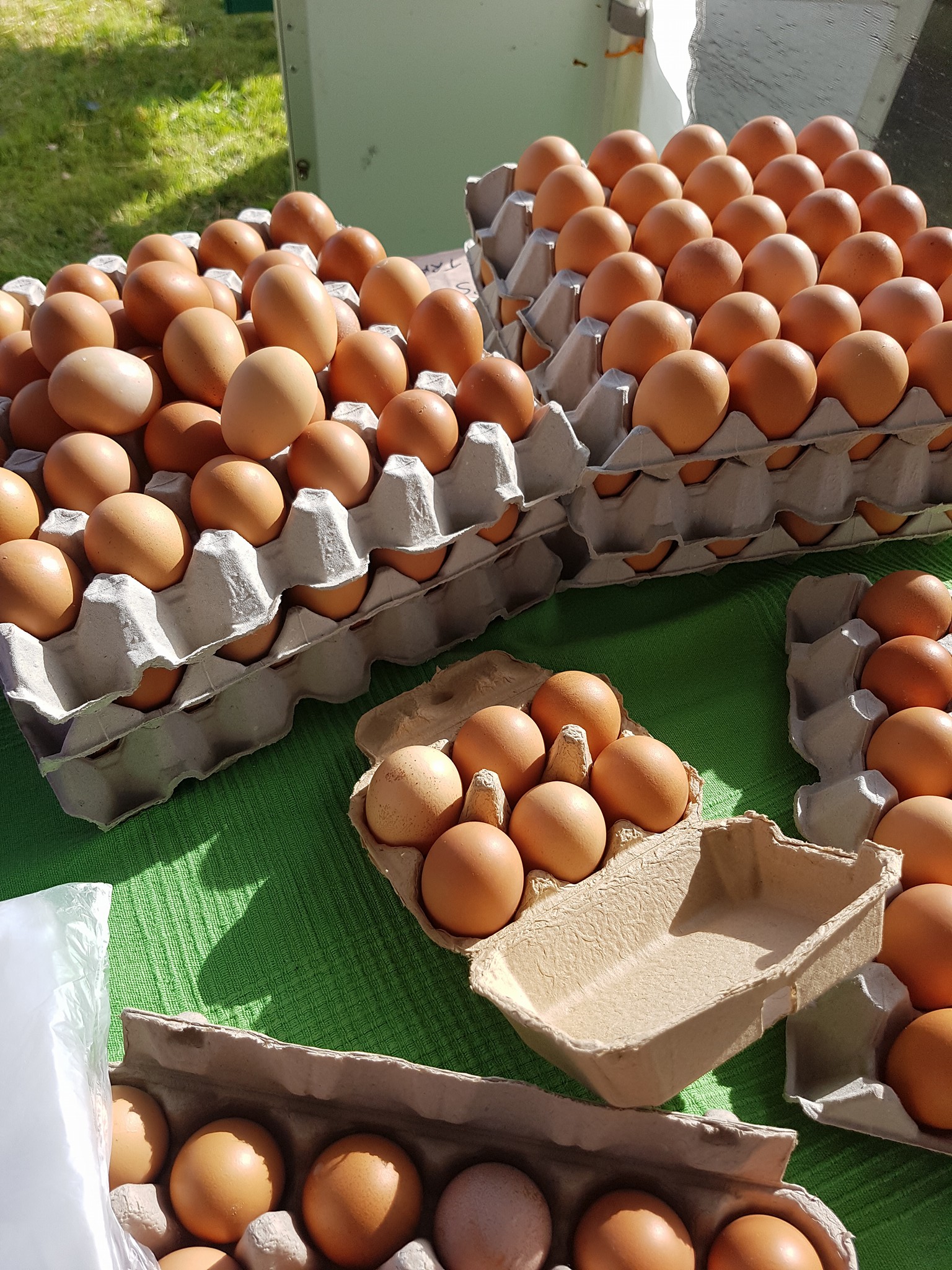 Blackwood Forest Farm Gippsland Weekly Farmers Market